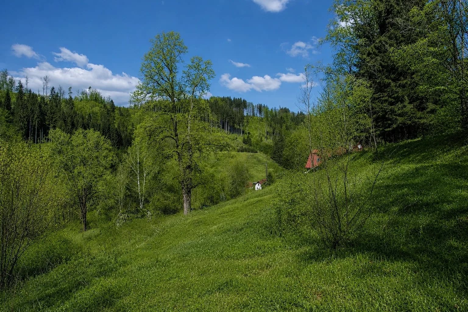Predaj pozemku 16.360 m², Jablonec nad Jizerou, Liberecký kraj Predaj pozemku 16.360 m², Jablonec nad Jizerou, Liberecký kraj
