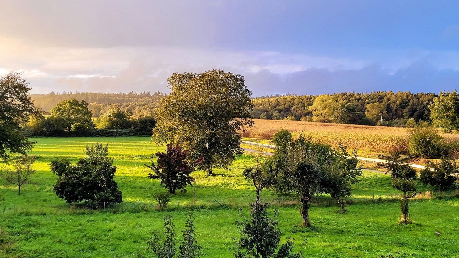 Predaj domu 210 m², pozemok 464 m², Allensbach, Bádensko-Wurttembersko Predaj domu 210 m², pozemok 464 m², Allensbach, Bádensko-Wurttembersko