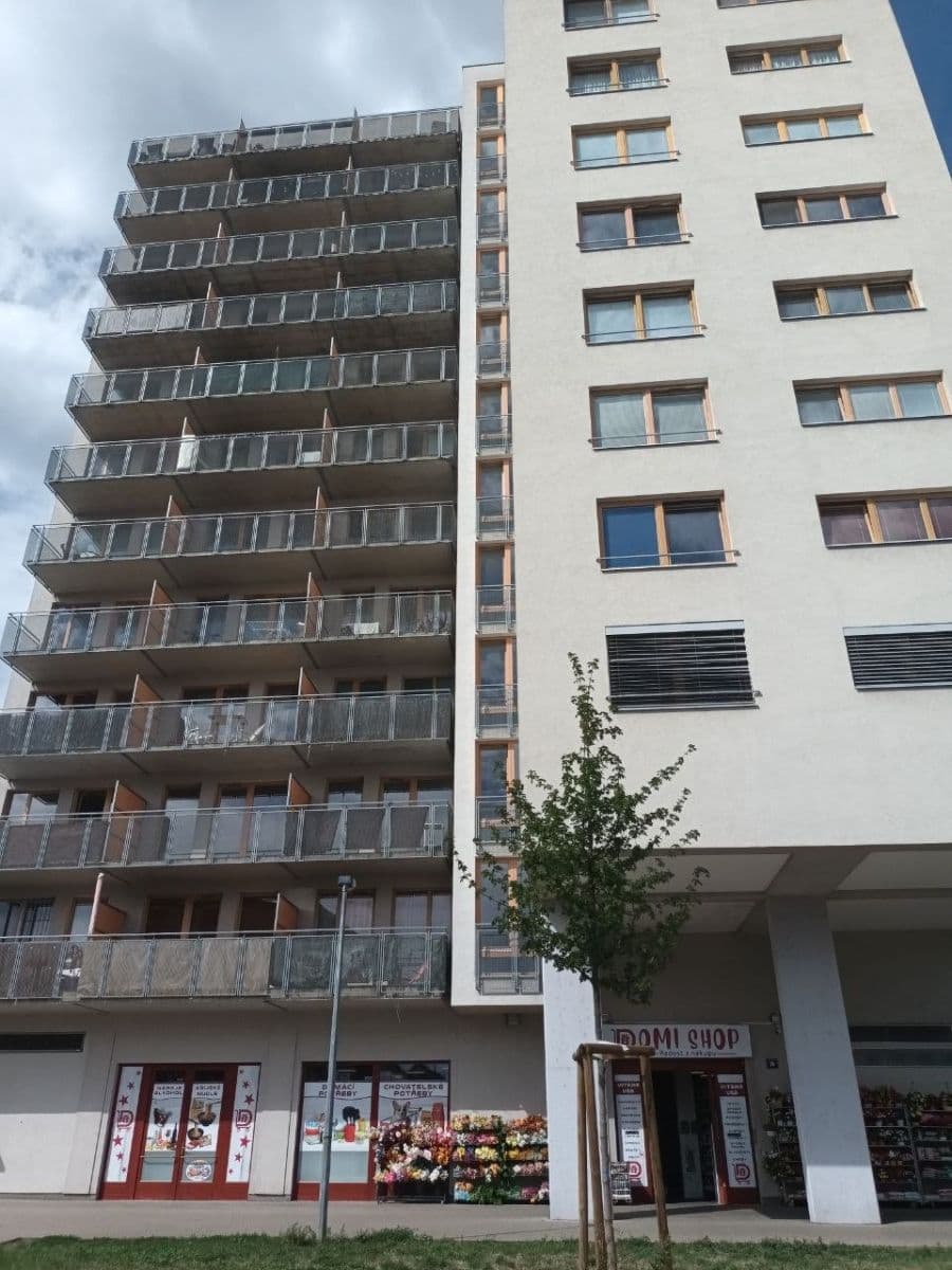 Prenájom bytu 1-izbový 44 m², Panuškova, Praha, Praha Prenájom bytu 1-izbový 44 m², Panuškova, Praha, Praha
