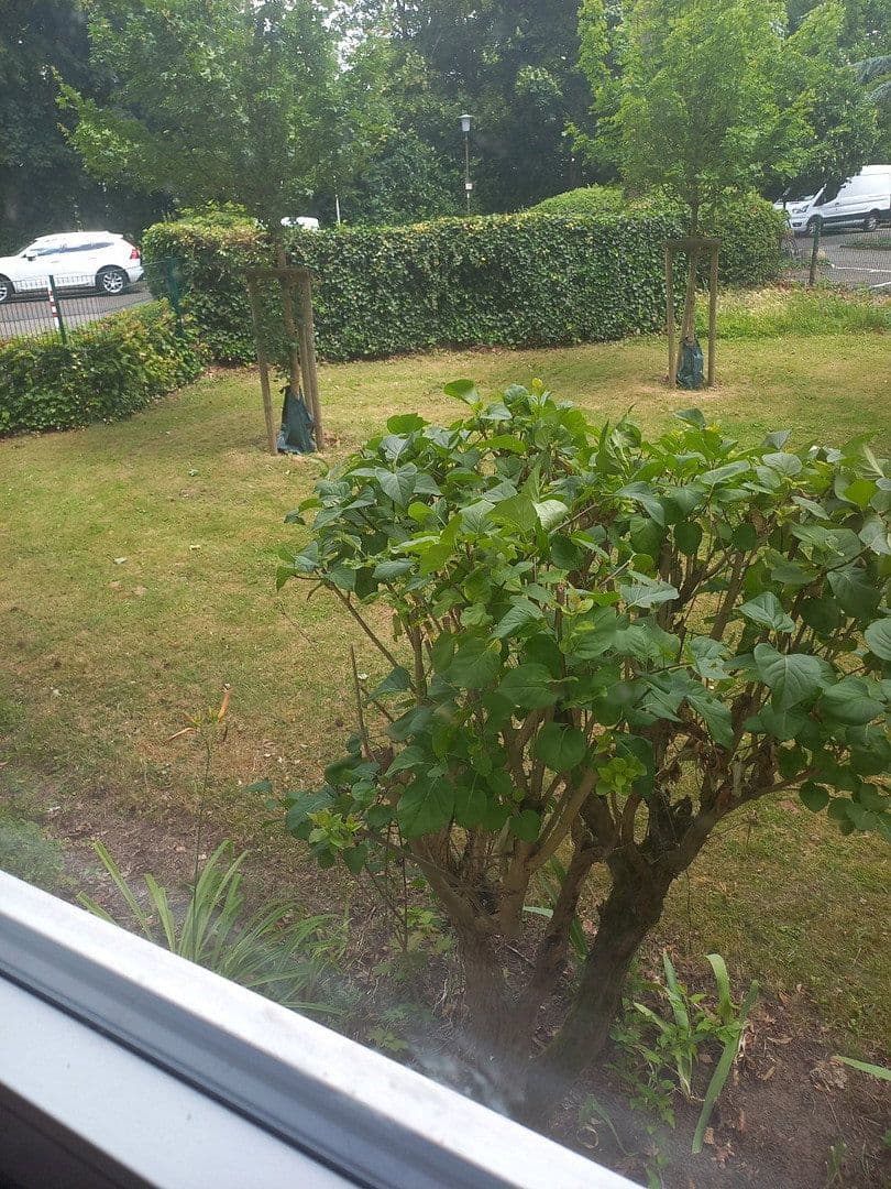 Predaj bytu 4-izbový 87 m², Südring 7, Maintal, Hesensko Predaj bytu 4-izbový 87 m², Südring 7, Maintal, Hesensko