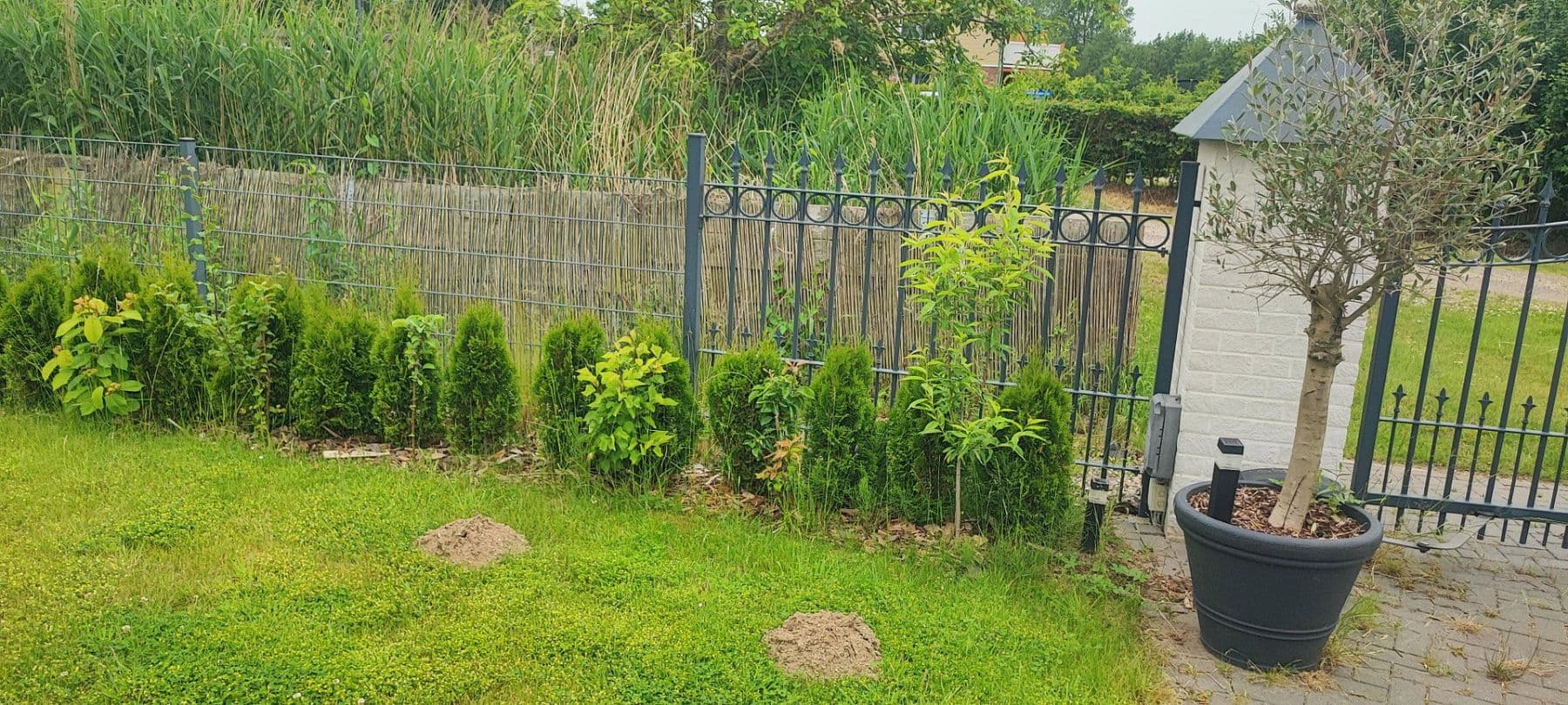 Predaj domu 400 m², pozemok 1.040 m², Schönberg (Holstein), Šlezvicko-Holštajnsko Predaj domu 400 m², pozemok 1.040 m², Schönberg (Holstein), Šlezvicko-Holštajnsko