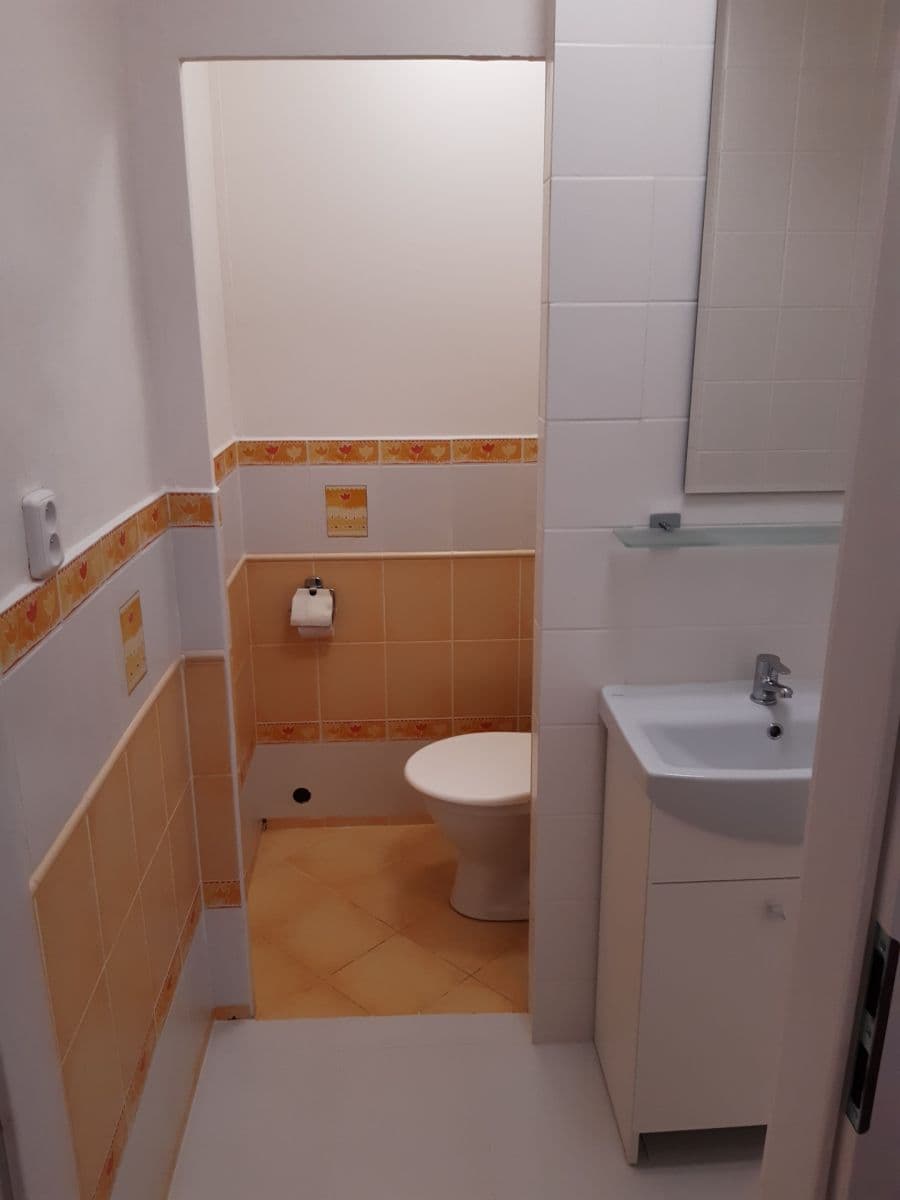 Prenájom bytu 1-izbový 38 m², Slavíkova, Ostrava, Moravskoslezský kraj Prenájom bytu 1-izbový 38 m², Slavíkova, Ostrava, Moravskoslezský kraj