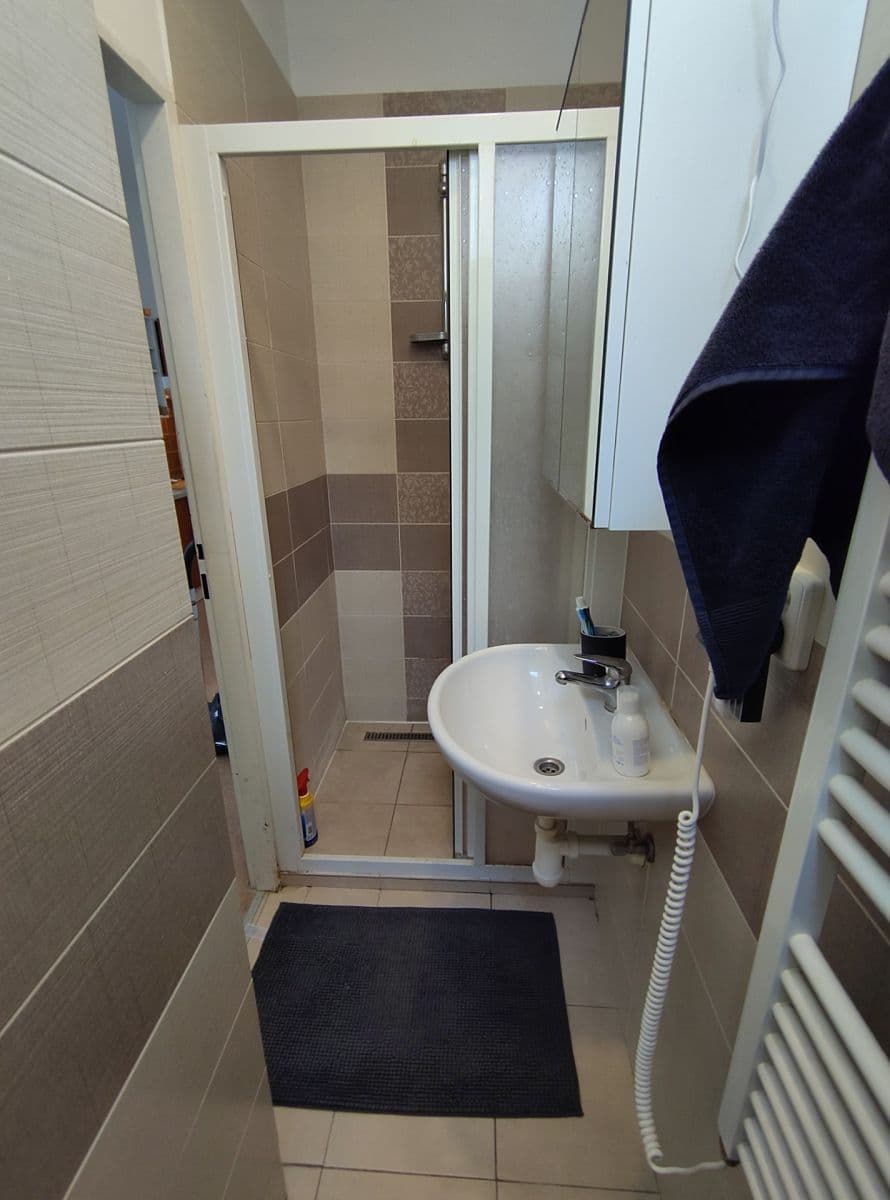 Prenájom bytu 1-izbový 44 m², Seifertova, Praha, Praha Prenájom bytu 1-izbový 44 m², Seifertova, Praha, Praha