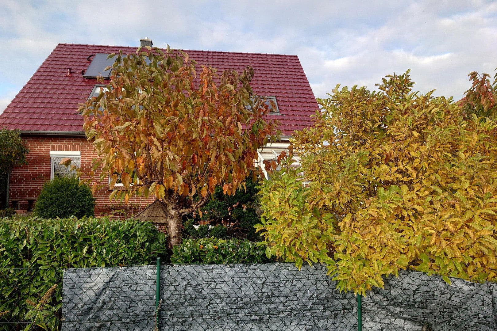 Prenájom bytu 3-izbový 70 m², Kirchweg 24, Rerik, Meklenbursko-Predpomoransko Prenájom bytu 3-izbový 70 m², Kirchweg 24, Rerik, Meklenbursko-Predpomoransko