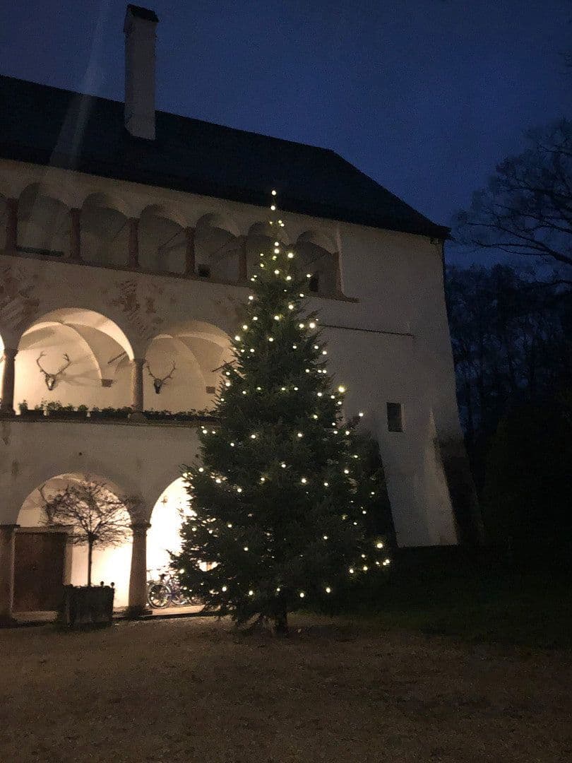 Prenájom bytu 3-izbový 113 m², Grieskirchen, Horné Rakúsko Prenájom bytu 3-izbový 113 m², Grieskirchen, Horné Rakúsko