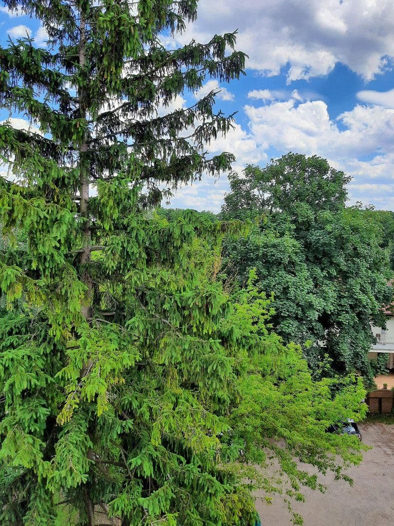 Prenájom bytu 2-izbový 51 m², Berlin, Berlín Prenájom bytu 2-izbový 51 m², Berlin, Berlín