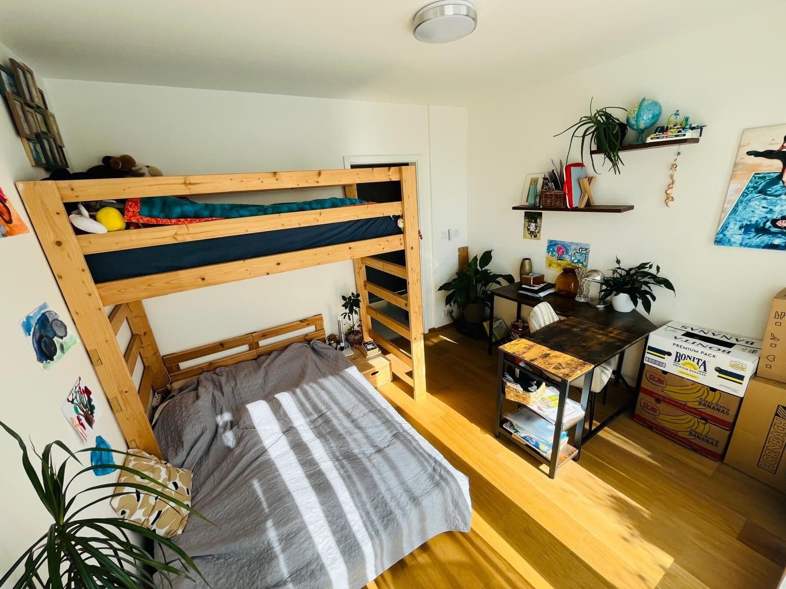 Prenájom bytu 2-izbový 55 m², Olgy Havlové, Praha, Praha Prenájom bytu 2-izbový 55 m², Olgy Havlové, Praha, Praha