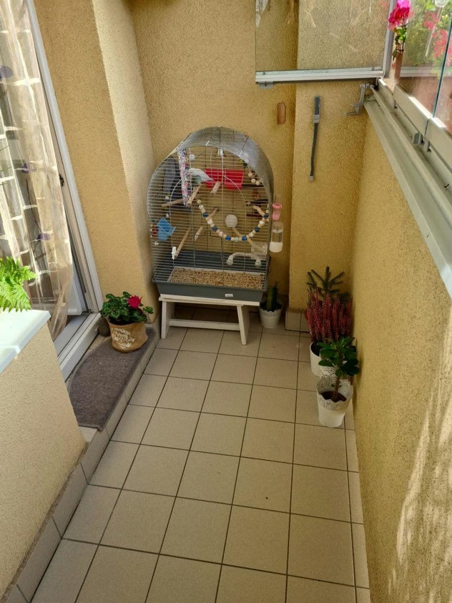 Predaj bytu 3-izbový 68 m², Františka Lýska, Ostrava, Moravskoslezský kraj Predaj bytu 3-izbový 68 m², Františka Lýska, Ostrava, Moravskoslezský kraj
