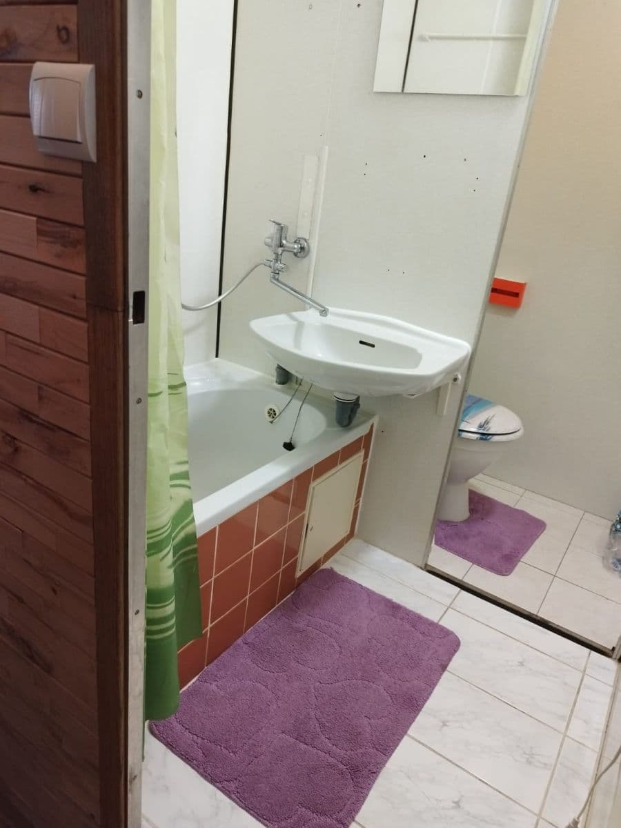 Prenájom bytu 1-izbový 37 m², Družstevní, Soběslav, Jihočeský kraj Prenájom bytu 1-izbový 37 m², Družstevní, Soběslav, Jihočeský kraj
