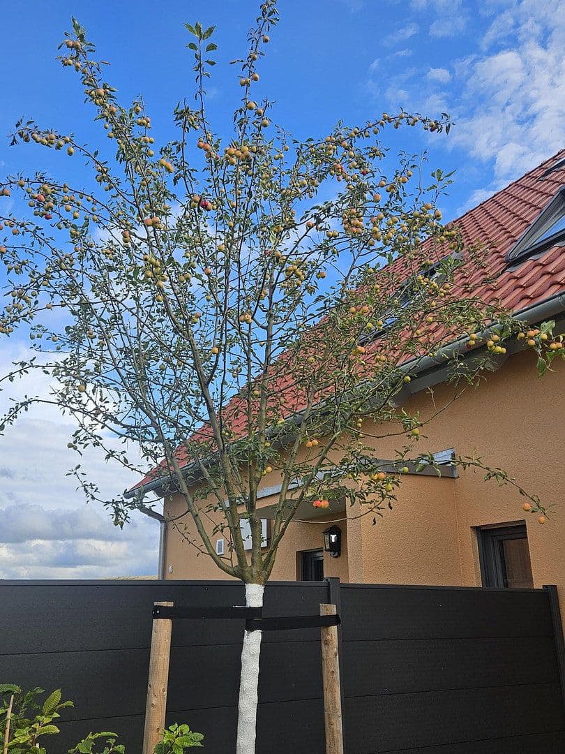Prenájom bytu 2-izbový 66 m², Brunnenweg 1a, Kamenec, Sasko Prenájom bytu 2-izbový 66 m², Brunnenweg 1a, Kamenec, Sasko