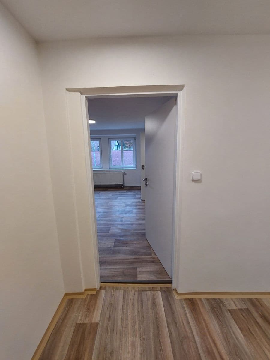 Prenájom bytu 1-izbový 55 m², Hodkovická, Liberec, Liberecký kraj Prenájom bytu 1-izbový 55 m², Hodkovická, Liberec, Liberecký kraj