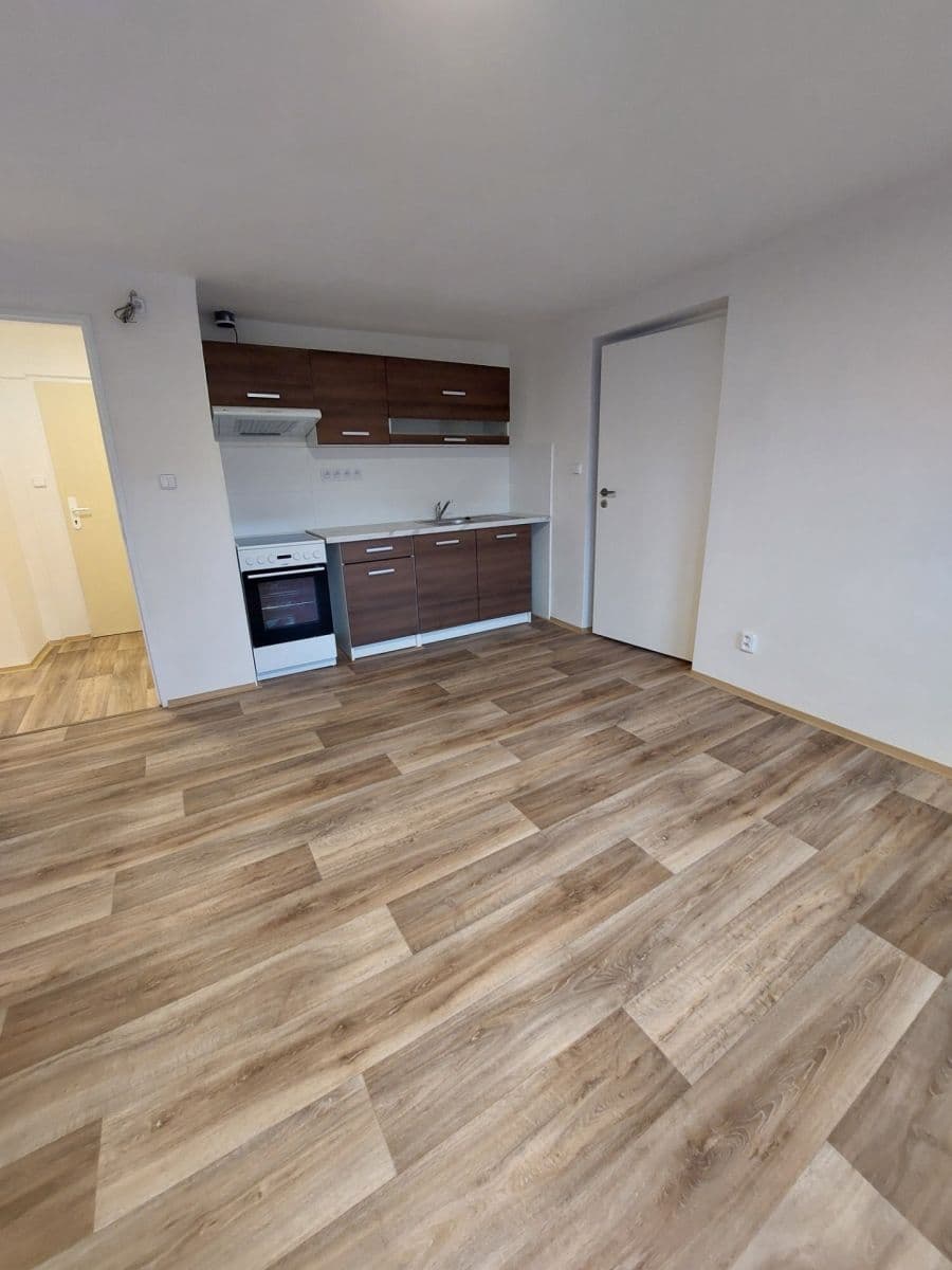 Prenájom bytu 1-izbový 55 m², Hodkovická, Liberec, Liberecký kraj Prenájom bytu 1-izbový 55 m², Hodkovická, Liberec, Liberecký kraj