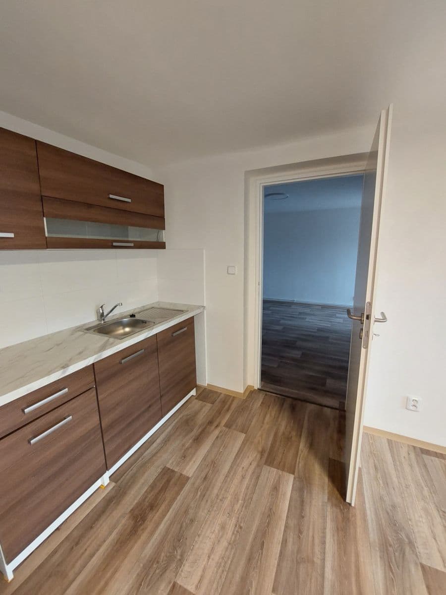 Prenájom bytu 1-izbový 55 m², Hodkovická, Liberec, Liberecký kraj Prenájom bytu 1-izbový 55 m², Hodkovická, Liberec, Liberecký kraj