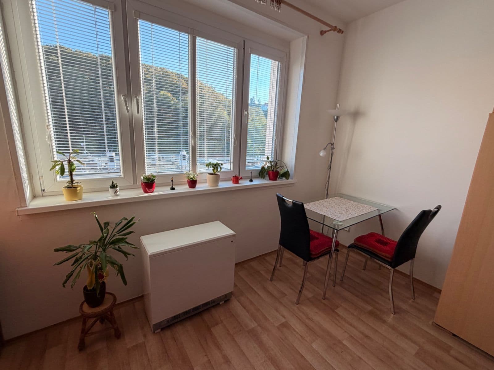 Prenájom bytu 1-izbový 30 m², Vrchlického, Praha, Praha Prenájom bytu 1-izbový 30 m², Vrchlického, Praha, Praha