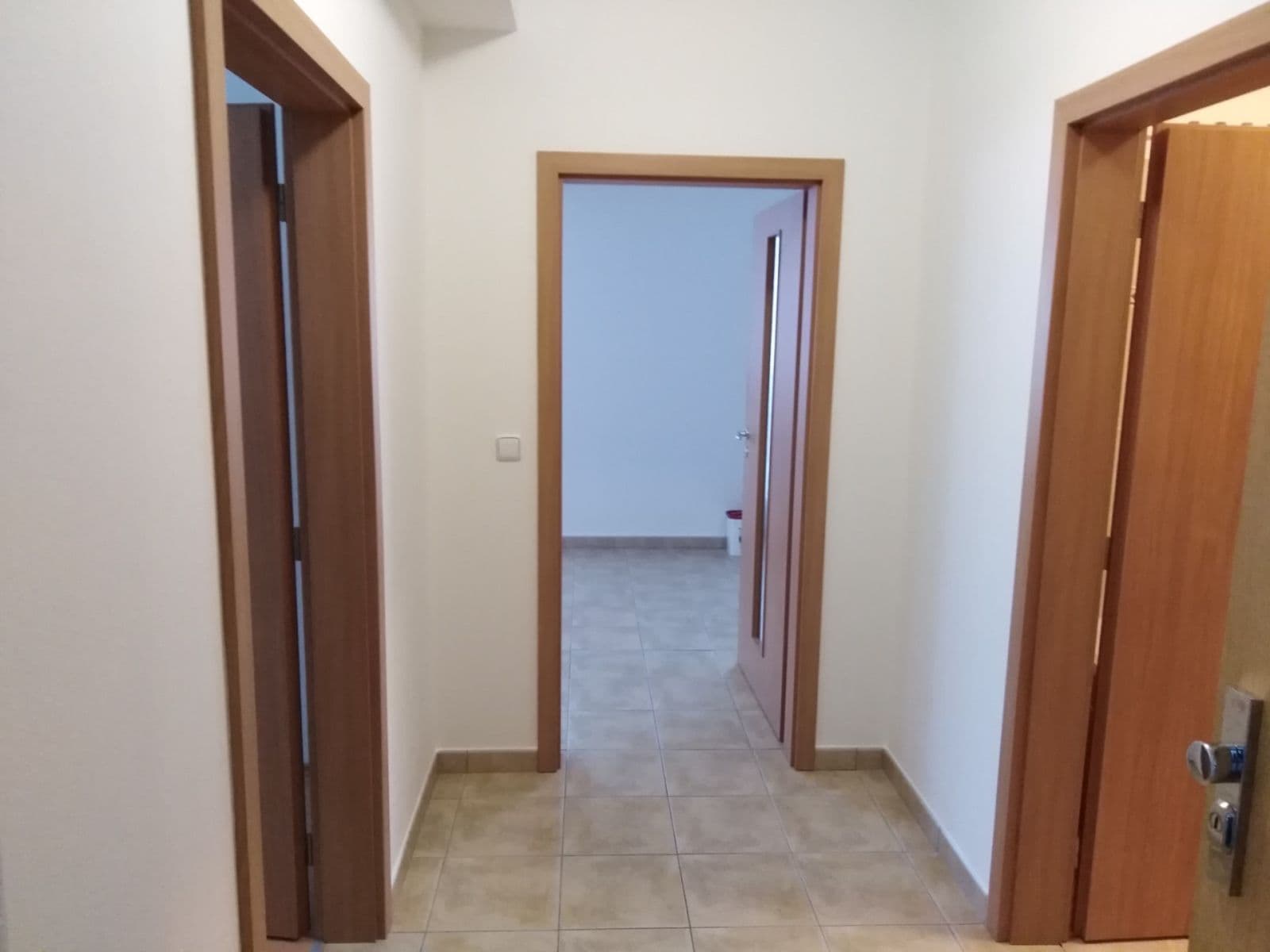 Prenájom bytu 2-izbový 56 m², Čeňka Růžičky, Brno, Jihomoravský kraj Prenájom bytu 2-izbový 56 m², Čeňka Růžičky, Brno, Jihomoravský kraj