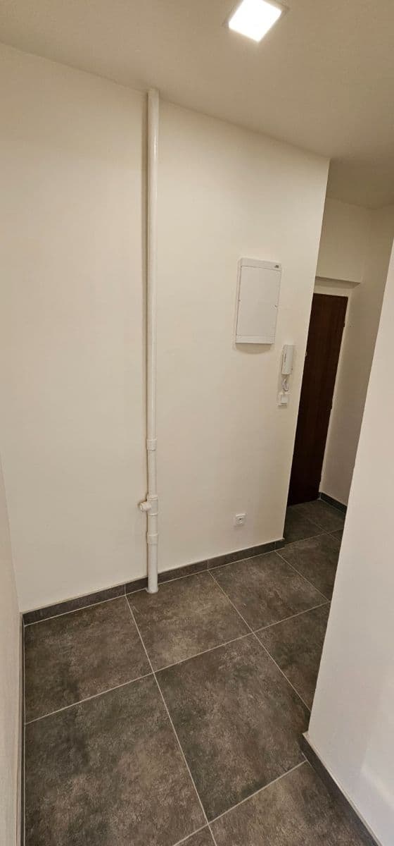 Prenájom bytu 1-izbový 45 m², Nad Kajetánkou, Praha, Praha Prenájom bytu 1-izbový 45 m², Nad Kajetánkou, Praha, Praha