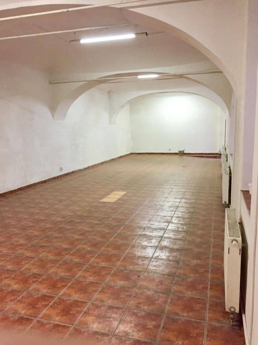 Prenájom nebytového priestoru 140 m², Štefánikova, Praha, Praha Prenájom nebytového priestoru 140 m², Štefánikova, Praha, Praha