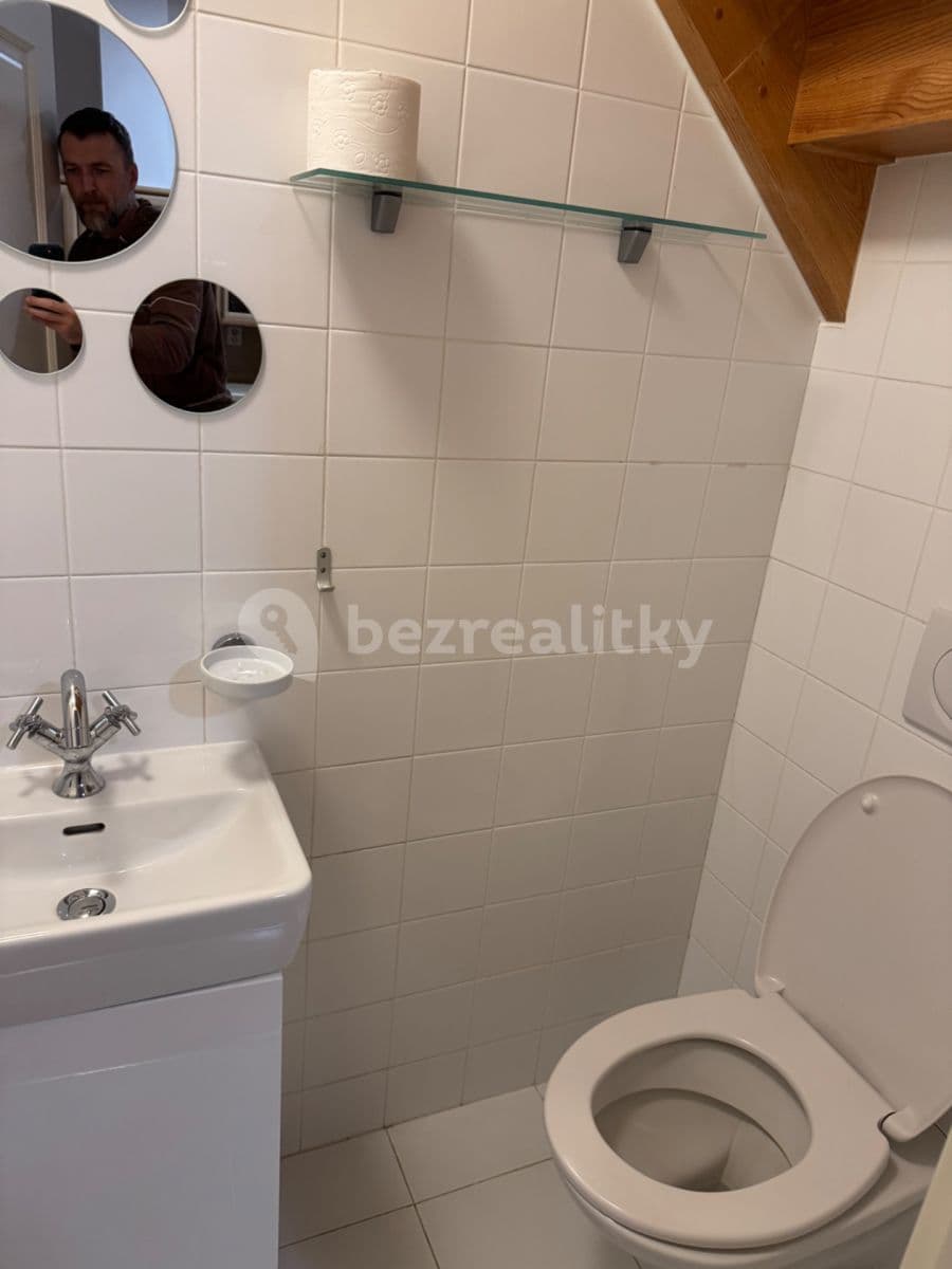 Prenájom bytu 2-izbový 50 m², Rybalkova, Praha, Praha Prenájom bytu 2-izbový 50 m², Rybalkova, Praha, Praha