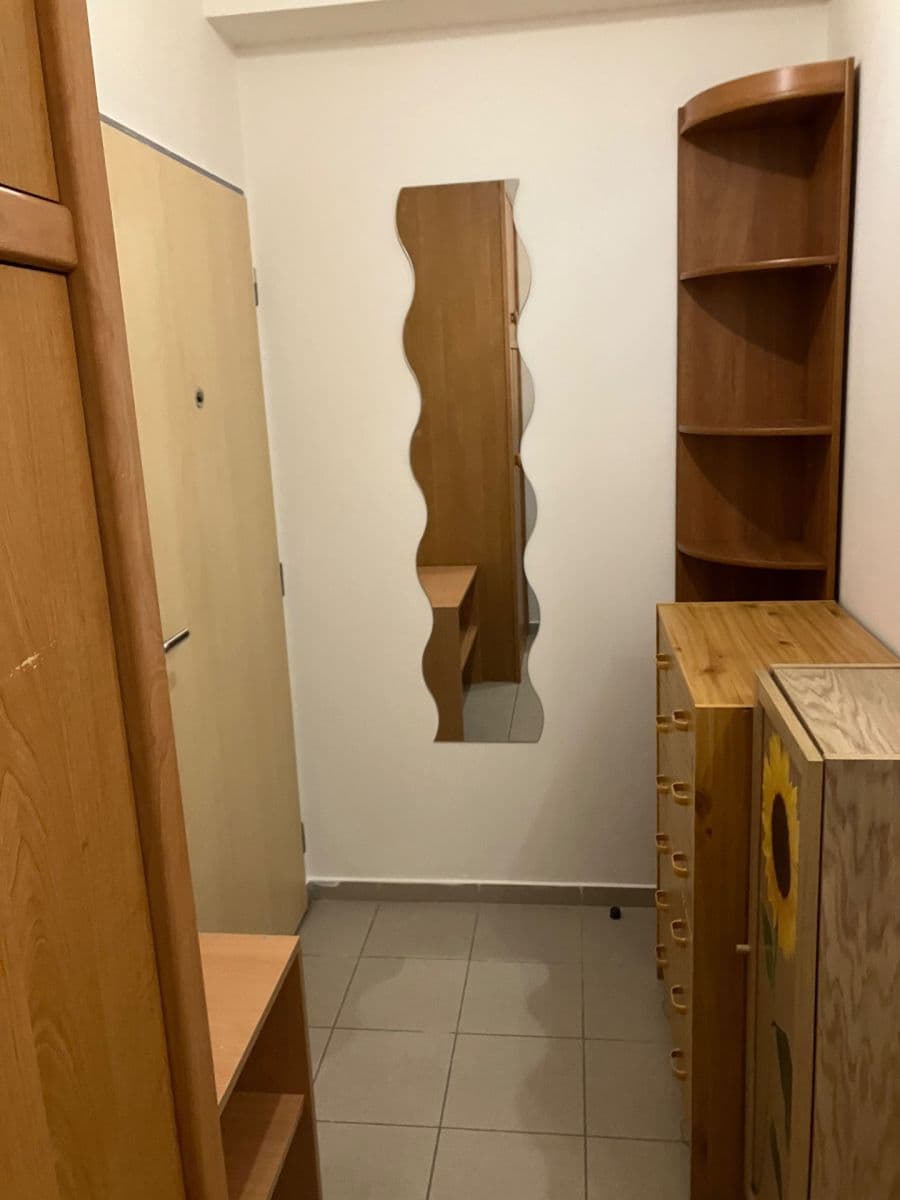 Prenájom bytu 1-izbový 27 m², Purkyňova, Brno, Jihomoravský kraj Prenájom bytu 1-izbový 27 m², Purkyňova, Brno, Jihomoravský kraj