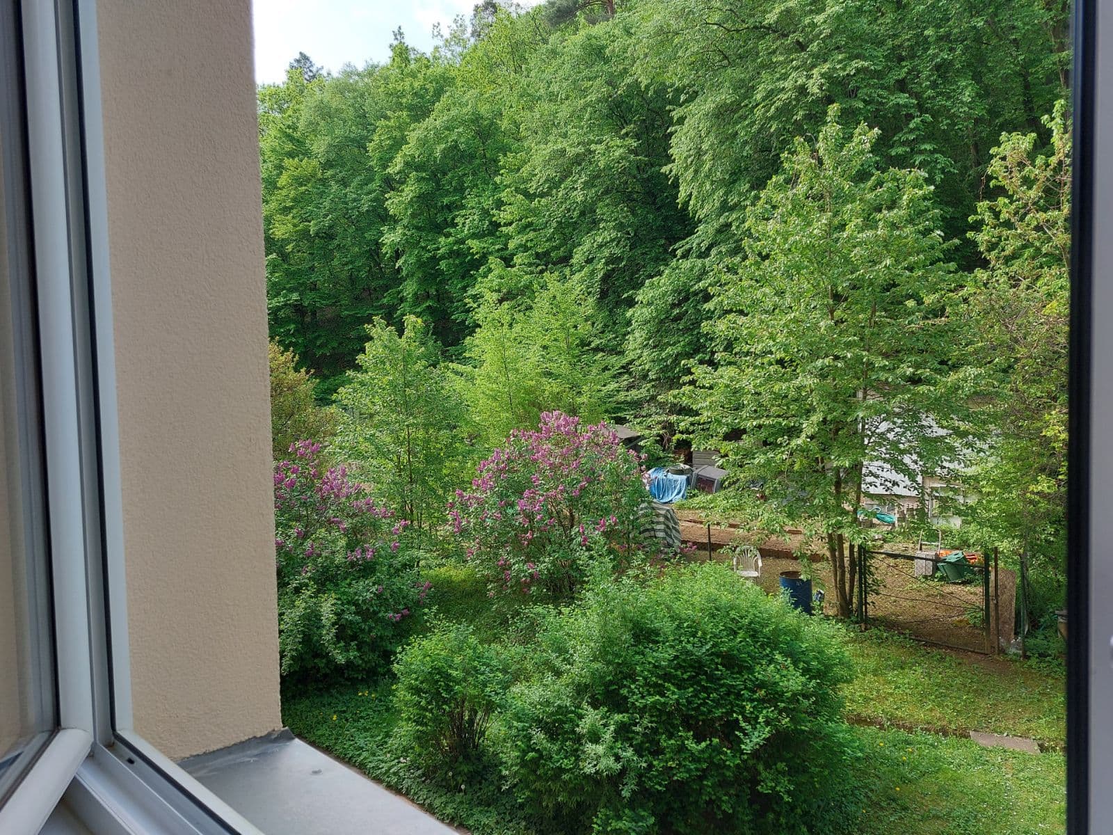 Prenájom bytu 1-izbový 32 m², Jasanová, Brno, Jihomoravský kraj Prenájom bytu 1-izbový 32 m², Jasanová, Brno, Jihomoravský kraj