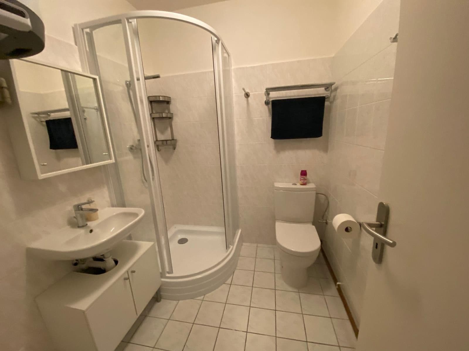 Prenájom bytu 1-izbový 22 m², Mánesova, České Budějovice, Jihočeský kraj Prenájom bytu 1-izbový 22 m², Mánesova, České Budějovice, Jihočeský kraj