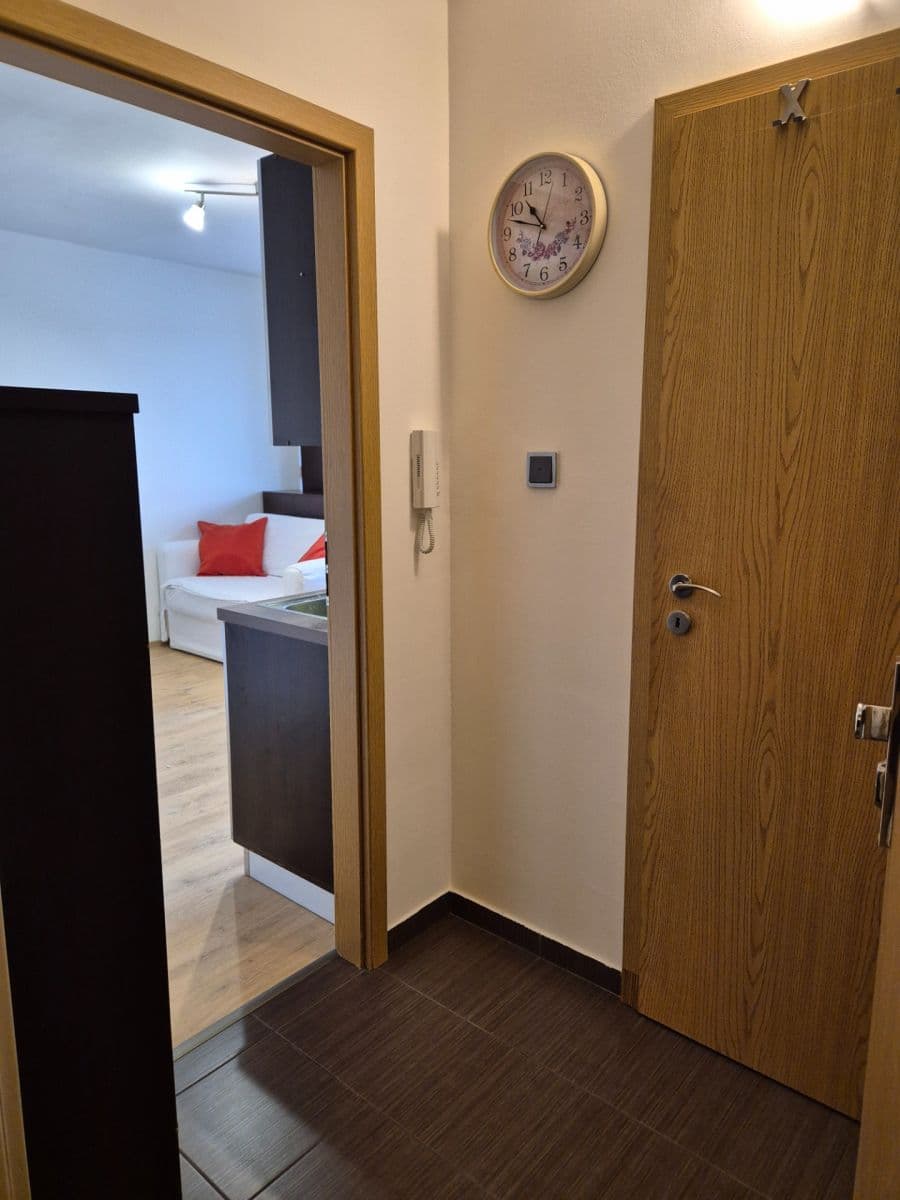 Prenájom bytu 1-izbový 30 m², Na úlehli, Praha, Praha Prenájom bytu 1-izbový 30 m², Na úlehli, Praha, Praha