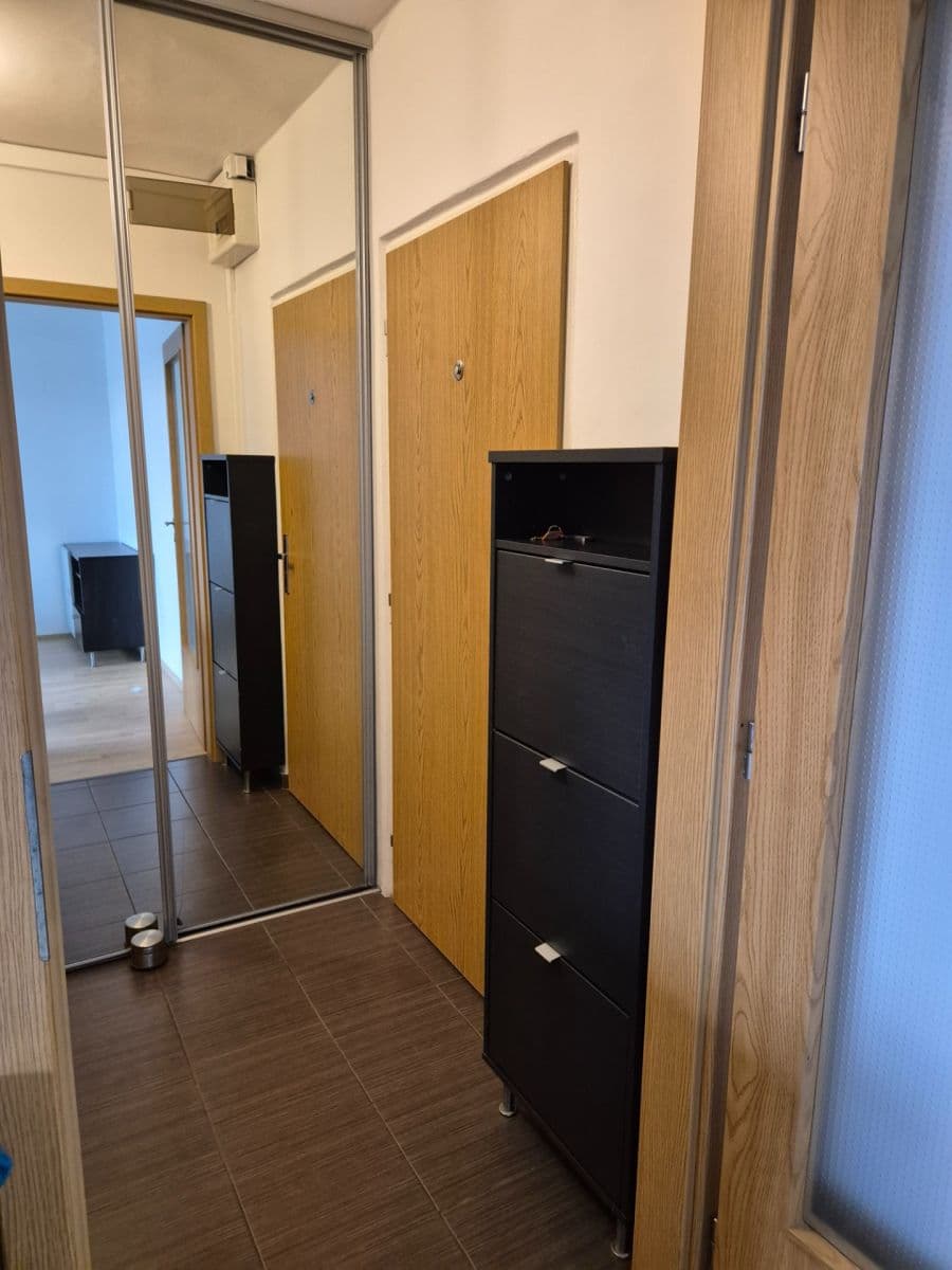 Prenájom bytu 1-izbový 30 m², Na úlehli, Praha, Praha Prenájom bytu 1-izbový 30 m², Na úlehli, Praha, Praha