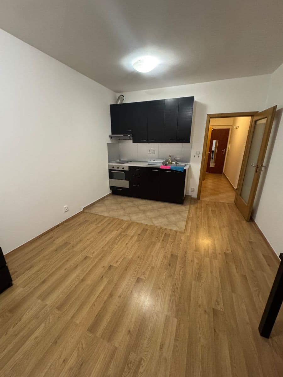 Prenájom bytu 1-izbový 30 m², Sazovicka, Praha, Praha Prenájom bytu 1-izbový 30 m², Sazovicka, Praha, Praha