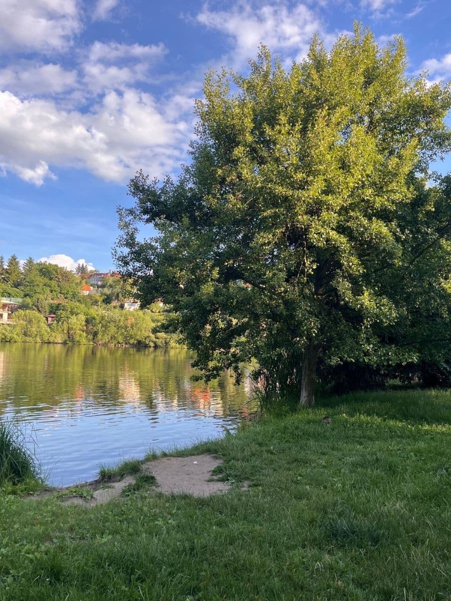 Prenájom bytu 2-izbový 58 m², Naardenská, Praha, Praha Prenájom bytu 2-izbový 58 m², Naardenská, Praha, Praha