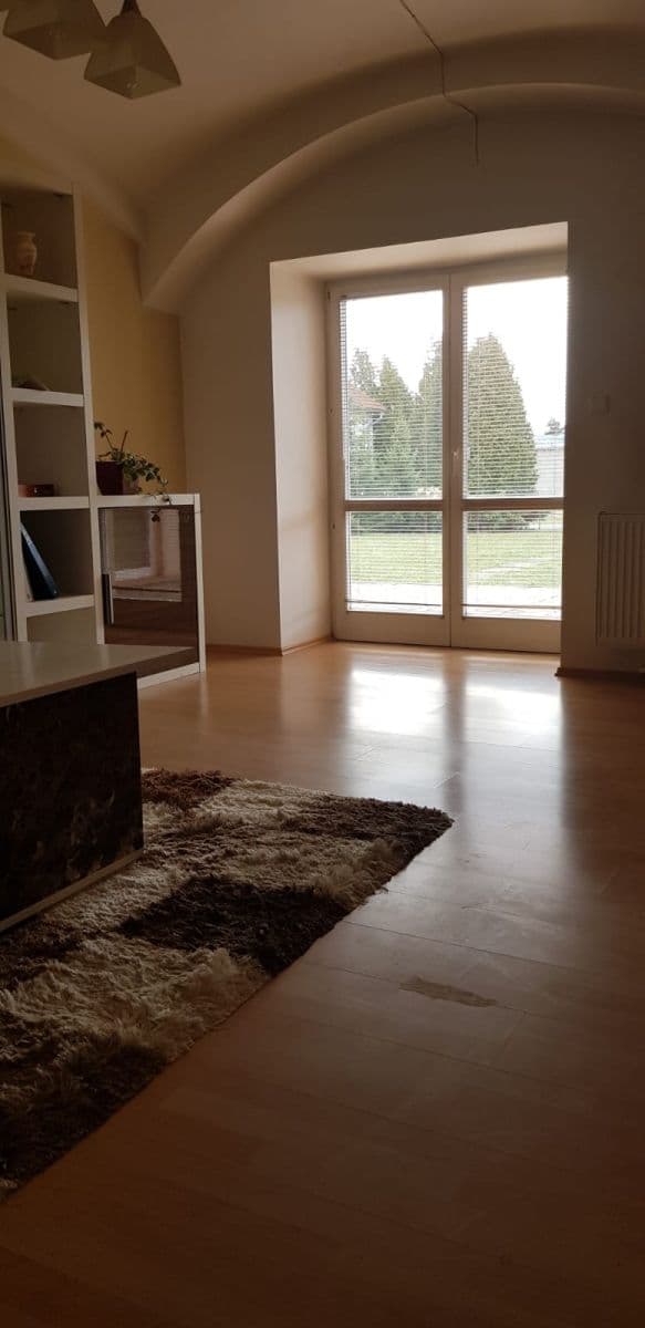 Prenájom bytu 2-izbový 80 m², Pražská třída, Hradec Králové, Královéhradecký kraj Prenájom bytu 2-izbový 80 m², Pražská třída, Hradec Králové, Královéhradecký kraj