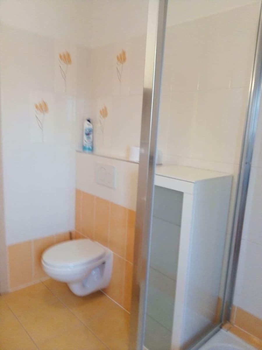 Prenájom bytu 1-izbový 35 m², Hobzíkova, Opava, Moravskoslezský kraj Prenájom bytu 1-izbový 35 m², Hobzíkova, Opava, Moravskoslezský kraj