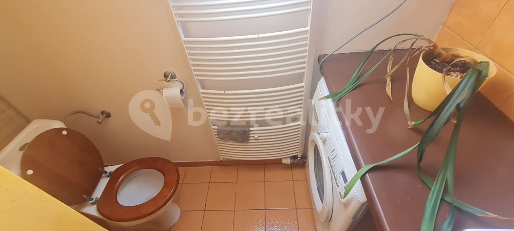Prenájom bytu 1-izbový 55 m², Kohoutova, Brno, Jihomoravský kraj Prenájom bytu 1-izbový 55 m², Kohoutova, Brno, Jihomoravský kraj