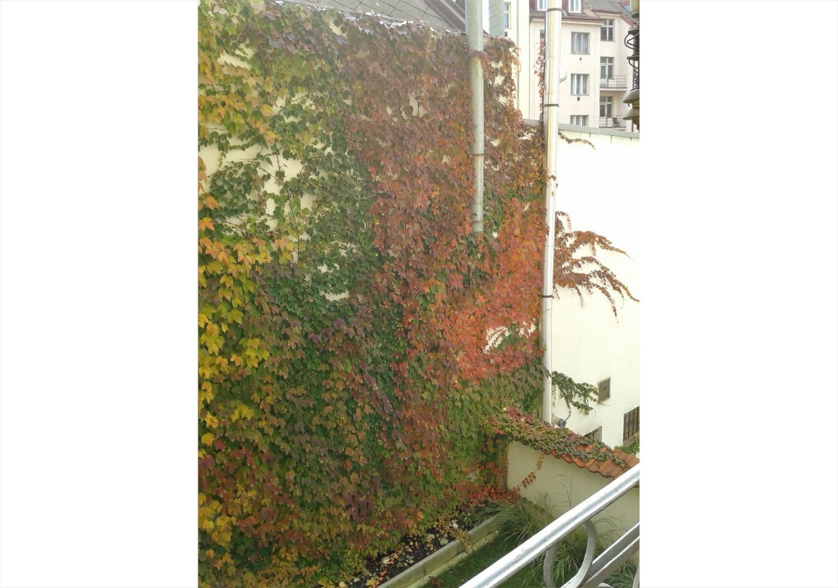 Prenájom bytu 2-izbový 40 m², Na spojce, Praha, Praha Prenájom bytu 2-izbový 40 m², Na spojce, Praha, Praha