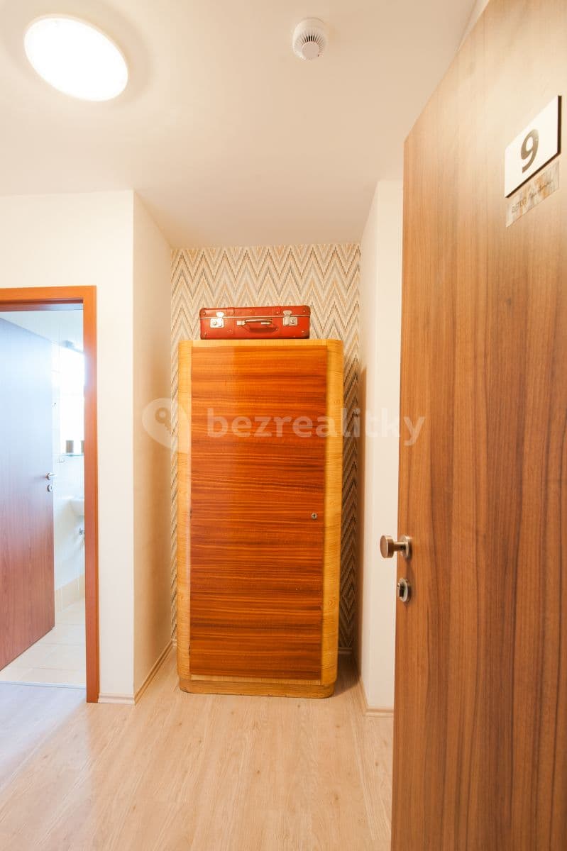 Prenájom bytu 1-izbový 31 m², Kounicova, Brno, Jihomoravský kraj Prenájom bytu 1-izbový 31 m², Kounicova, Brno, Jihomoravský kraj