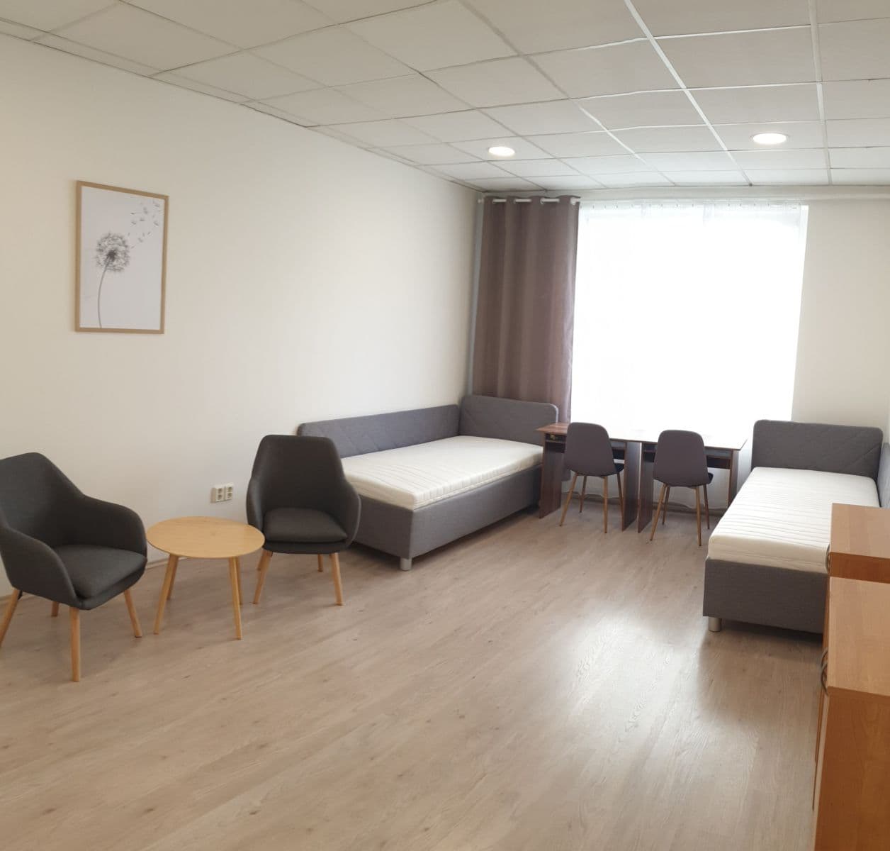 Prenájom bytu 2-izbový 65 m², Kounicova, Brno, Jihomoravský kraj Prenájom bytu 2-izbový 65 m², Kounicova, Brno, Jihomoravský kraj