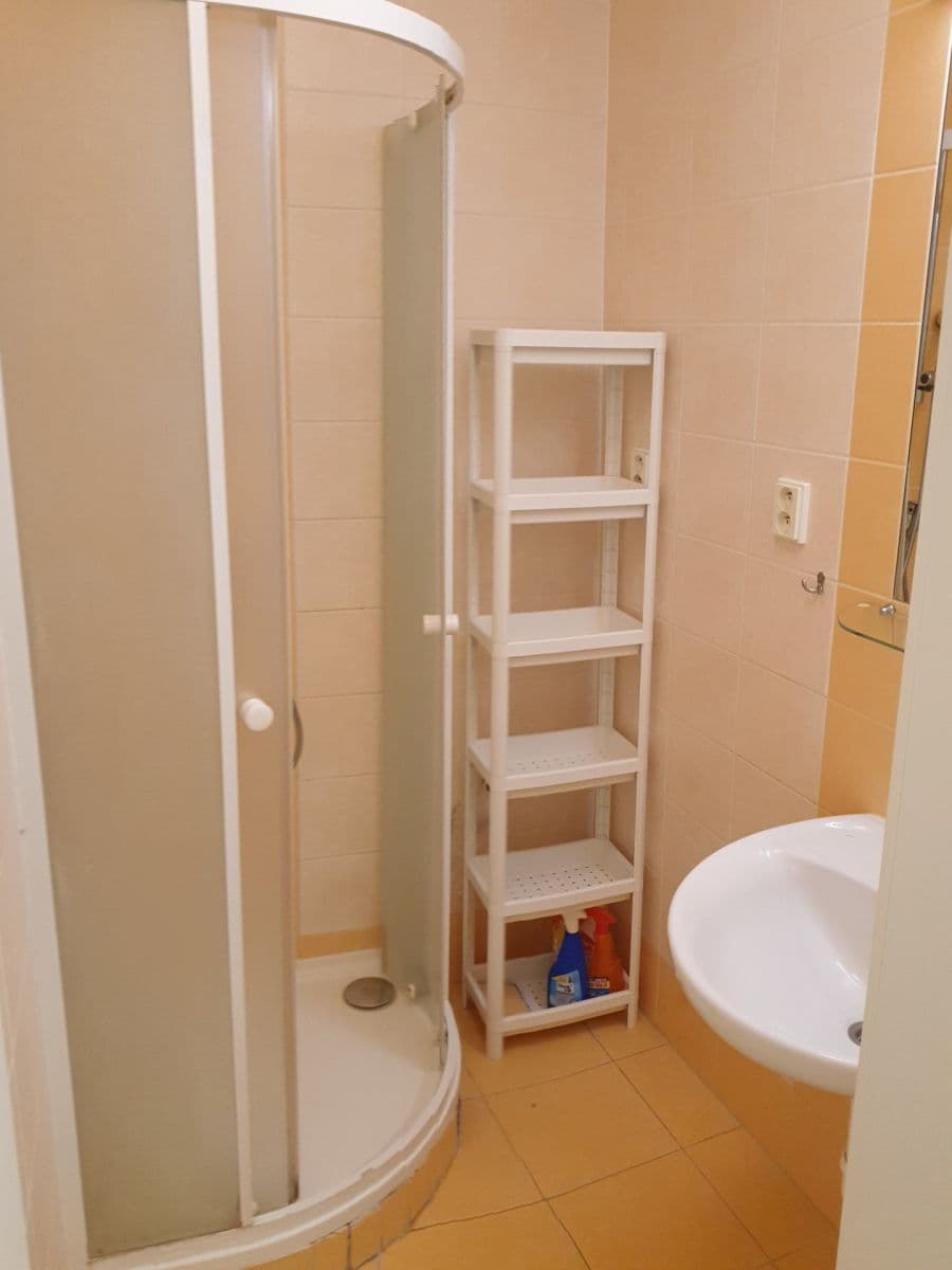 Prenájom bytu 2-izbový 65 m², Kounicova, Brno, Jihomoravský kraj Prenájom bytu 2-izbový 65 m², Kounicova, Brno, Jihomoravský kraj