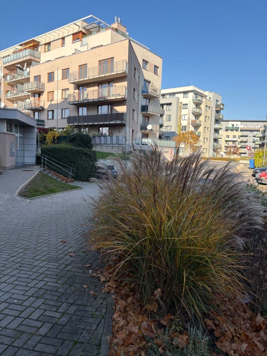 Prenájom bytu 1-izbový 44 m², Athénská, Praha, Praha Prenájom bytu 1-izbový 44 m², Athénská, Praha, Praha