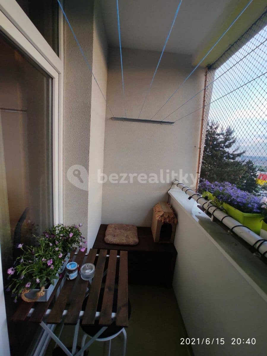 Prenájom bytu 1-izbový 32 m², Halasovo náměstí, Brno, Jihomoravský kraj Prenájom bytu 1-izbový 32 m², Halasovo náměstí, Brno, Jihomoravský kraj