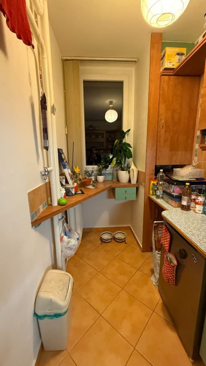 Prenájom bytu 1-izbový 32 m², Halasovo náměstí, Brno, Jihomoravský kraj Prenájom bytu 1-izbový 32 m², Halasovo náměstí, Brno, Jihomoravský kraj