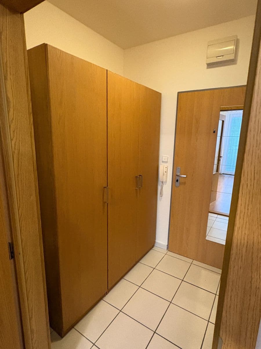 Prenájom bytu 1-izbový 41 m², Božetěchova, Brno, Jihomoravský kraj Prenájom bytu 1-izbový 41 m², Božetěchova, Brno, Jihomoravský kraj