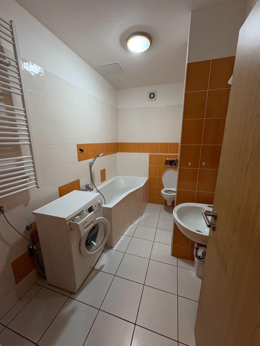 Prenájom bytu 1-izbový 41 m², Božetěchova, Brno, Jihomoravský kraj Prenájom bytu 1-izbový 41 m², Božetěchova, Brno, Jihomoravský kraj