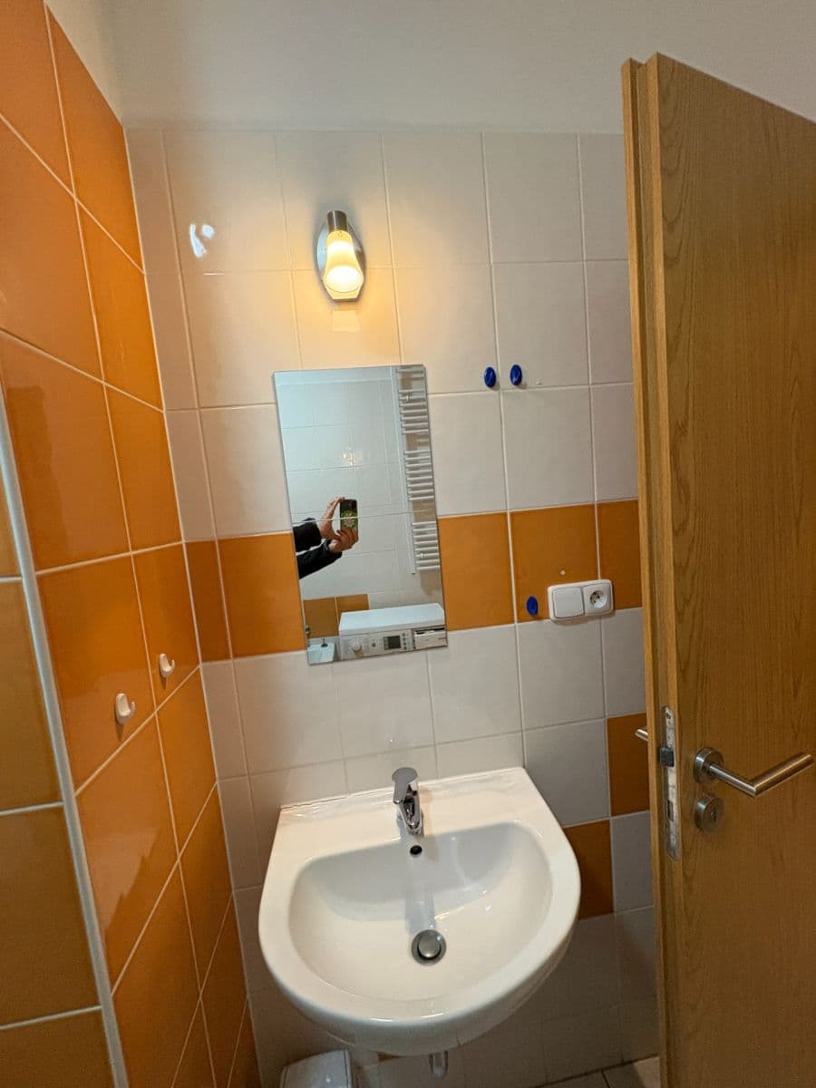 Prenájom bytu 1-izbový 41 m², Božetěchova, Brno, Jihomoravský kraj Prenájom bytu 1-izbový 41 m², Božetěchova, Brno, Jihomoravský kraj