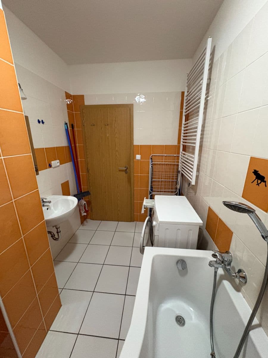 Prenájom bytu 1-izbový 41 m², Božetěchova, Brno, Jihomoravský kraj Prenájom bytu 1-izbový 41 m², Božetěchova, Brno, Jihomoravský kraj