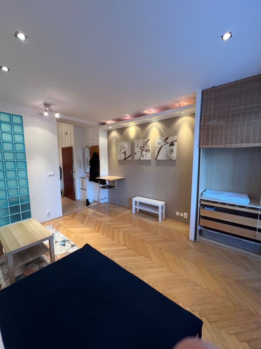 Prenájom bytu 1-izbový 28 m², Cihlářská, Brno, Jihomoravský kraj Prenájom bytu 1-izbový 28 m², Cihlářská, Brno, Jihomoravský kraj