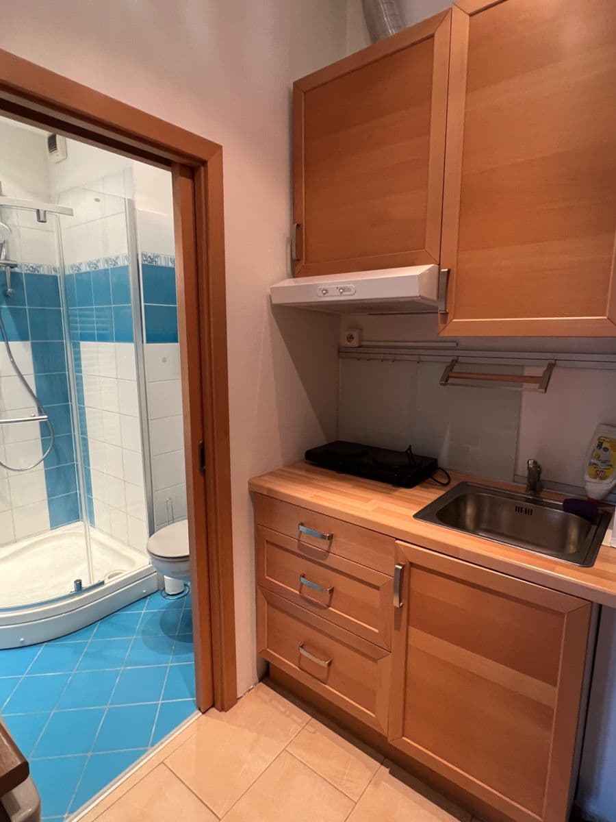 Prenájom bytu 1-izbový 28 m², Cihlářská, Brno, Jihomoravský kraj Prenájom bytu 1-izbový 28 m², Cihlářská, Brno, Jihomoravský kraj