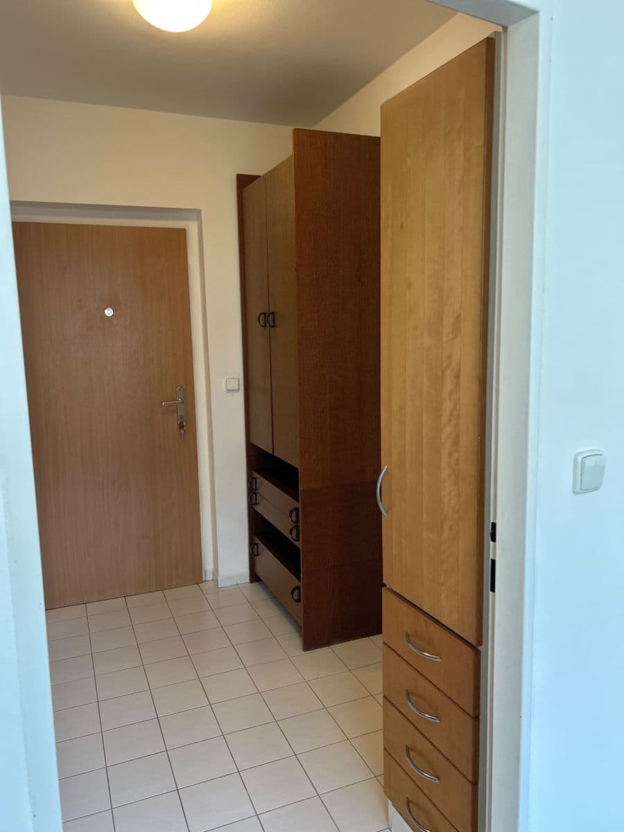 Prenájom bytu 1-izbový 42 m², bratří Dohalských, Praha, Praha Prenájom bytu 1-izbový 42 m², bratří Dohalských, Praha, Praha