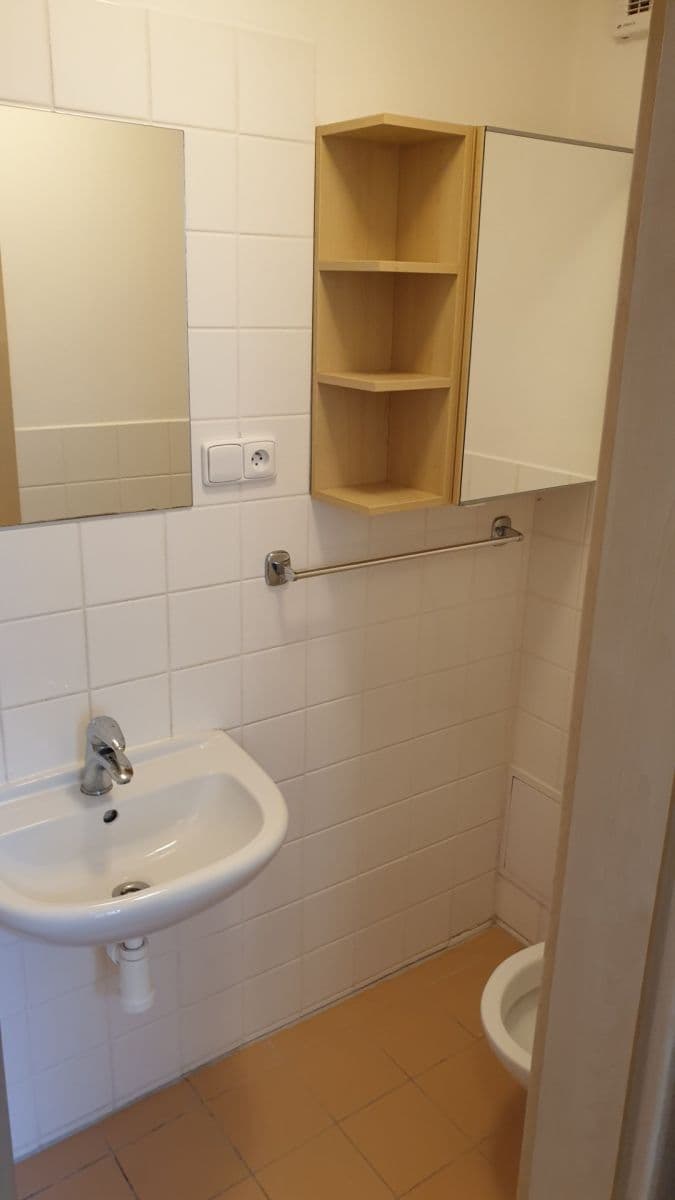 Prenájom bytu 1-izbový 32 m², Tábor, Brno, Jihomoravský kraj Prenájom bytu 1-izbový 32 m², Tábor, Brno, Jihomoravský kraj