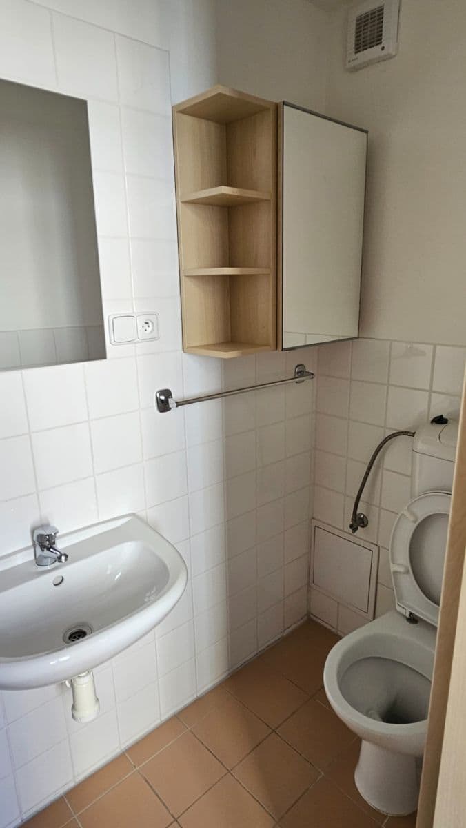 Prenájom bytu 1-izbový 32 m², Tábor, Brno, Jihomoravský kraj Prenájom bytu 1-izbový 32 m², Tábor, Brno, Jihomoravský kraj