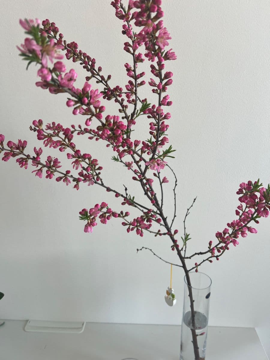 Prenájom bytu 3-izbový 57 m², Egyptská, Praha, Praha Prenájom bytu 3-izbový 57 m², Egyptská, Praha, Praha