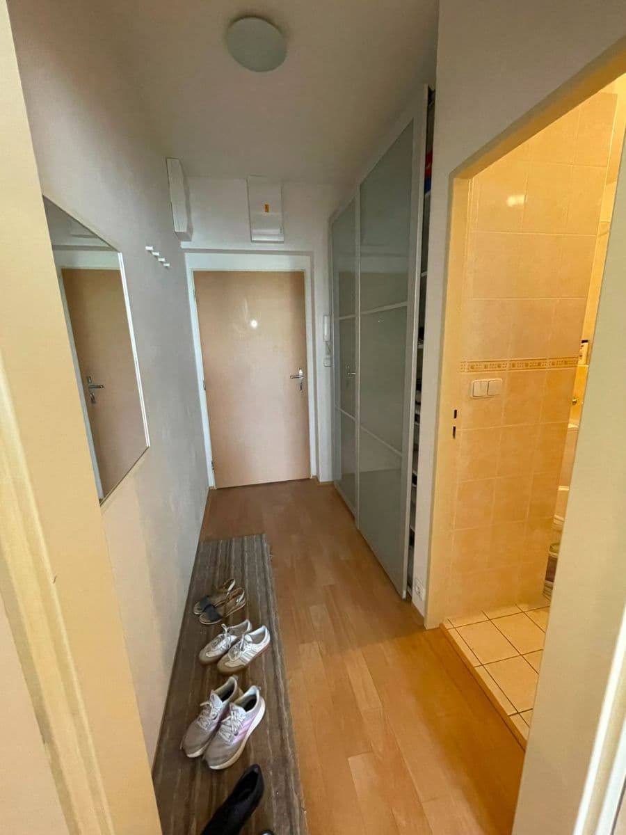 Prenájom bytu 1-izbový 30 m², Zderadova, Brno, Jihomoravský kraj Prenájom bytu 1-izbový 30 m², Zderadova, Brno, Jihomoravský kraj